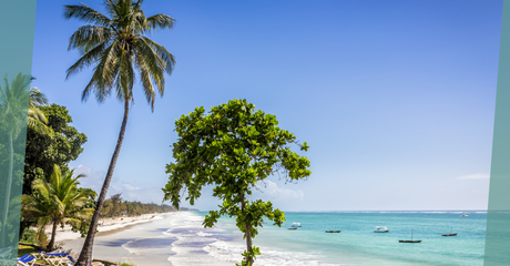 Scenic view of Diani, a GroundCrew destination