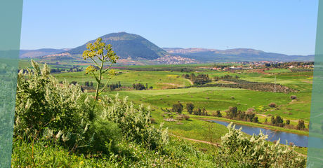 Scenic view of Tábor, a GroundCrew destination