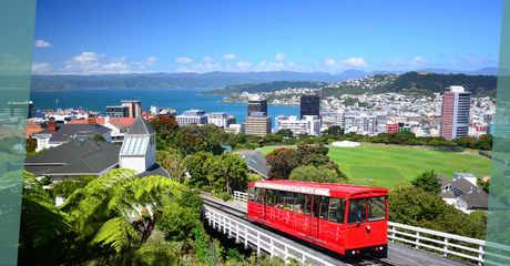 Scenic view of Wellington, a GroundCrew destination
